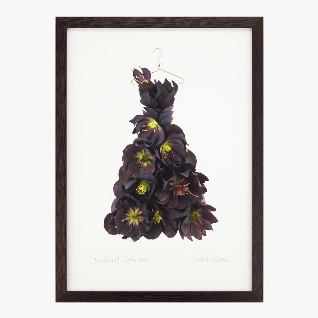 midnight hellebore dress art print from the Garden Fairy's Wardrobe by petal & pins