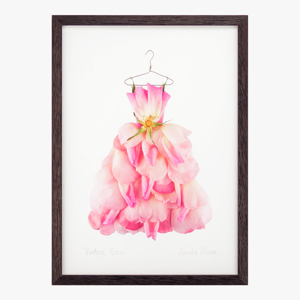 vintage rose dress art print by petal & pins