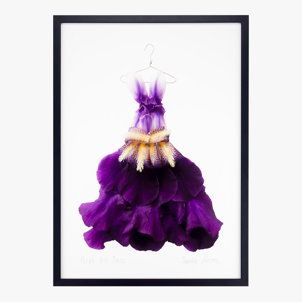 purple dress painting Story of the Week: The Purple Dress