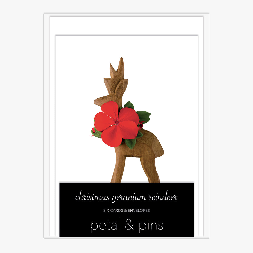christmas geranium reindeer - boxed set of six christmas cards by petal & pins