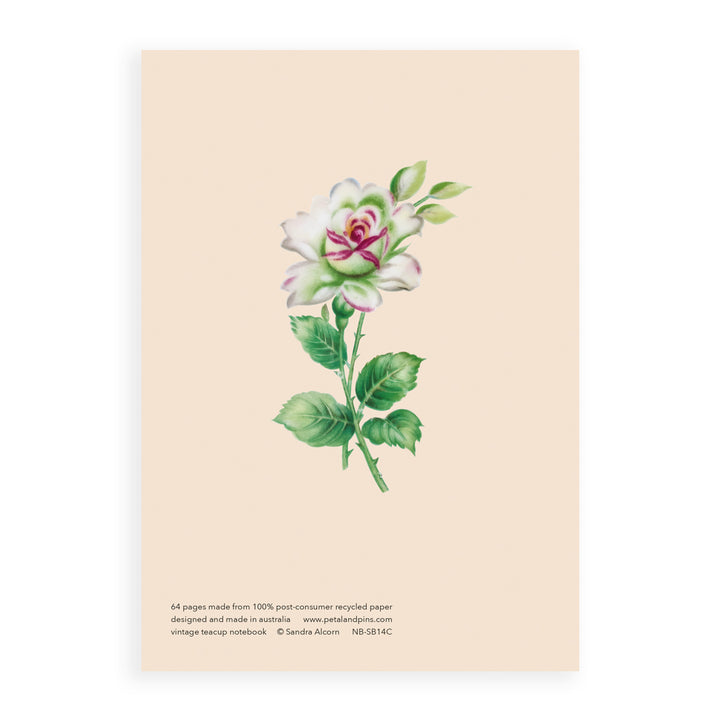 vintage teacup notebook - latte