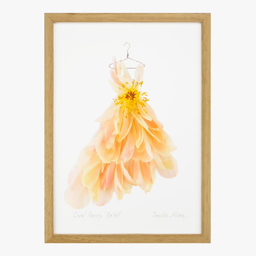 coral peony waltz dress art print by petal & pins