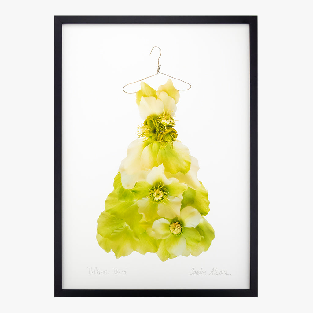 chartreuse hellebore dress giclée art print from the Garden Fairy's Wardrobe by petal & pins