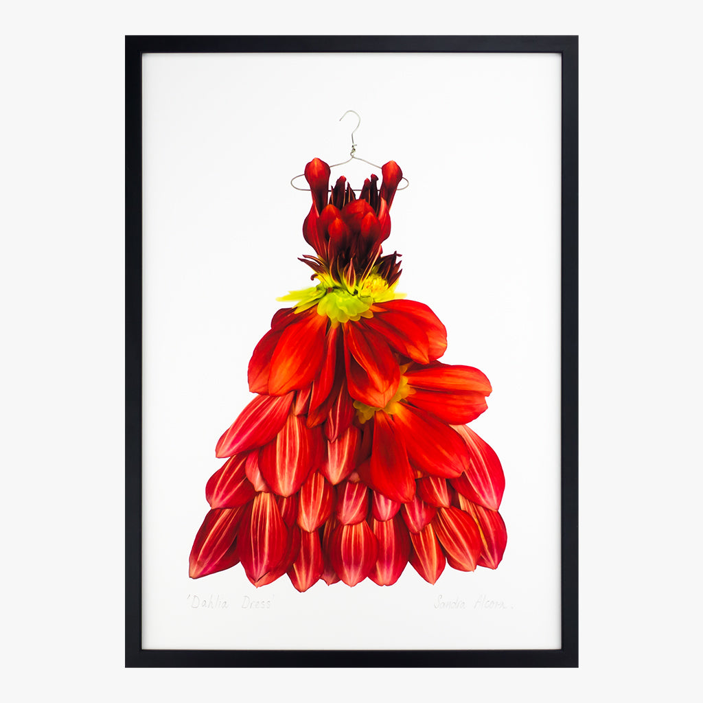 dahlia dress art print by petal & pins