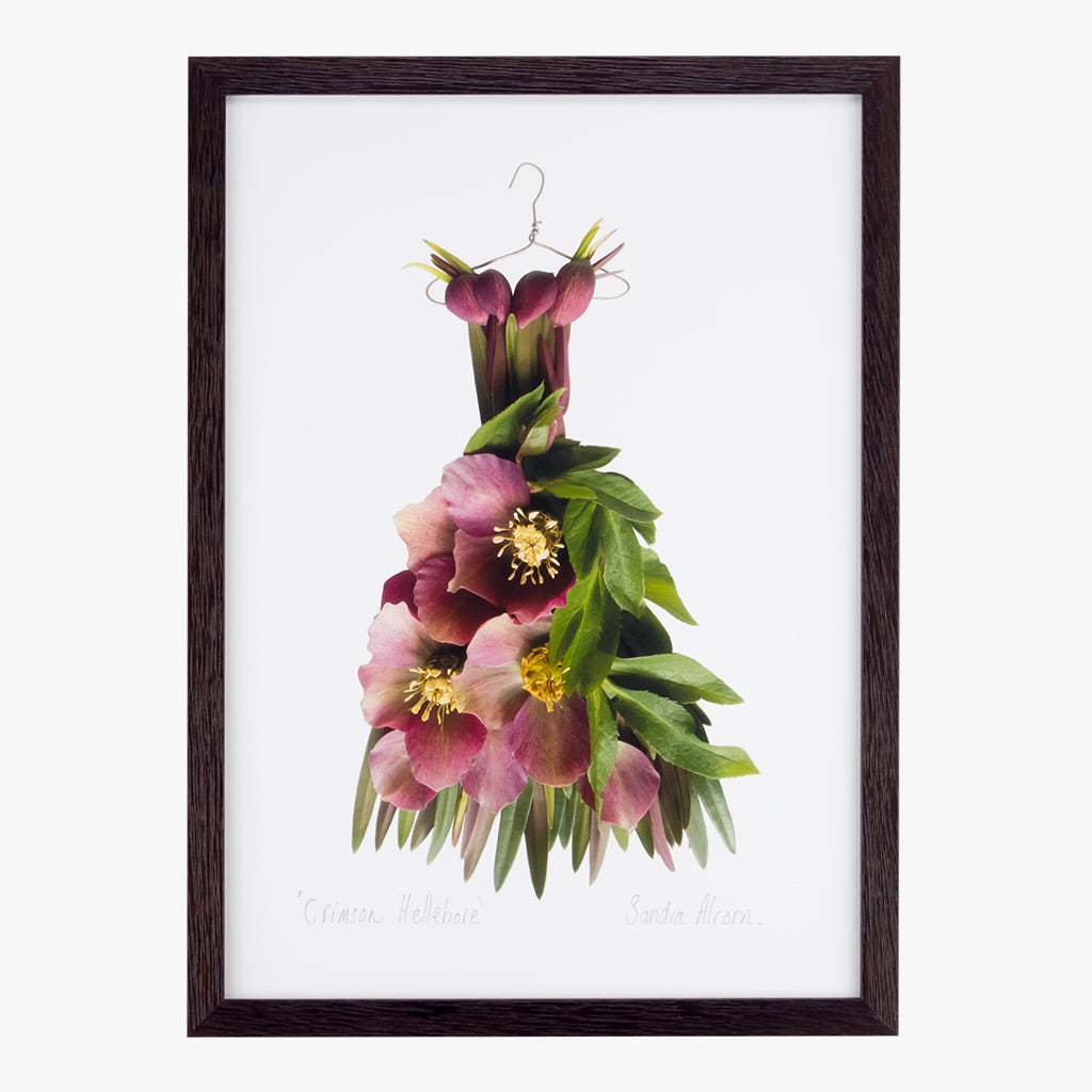 crimson hellebore dress art print by petal & pins