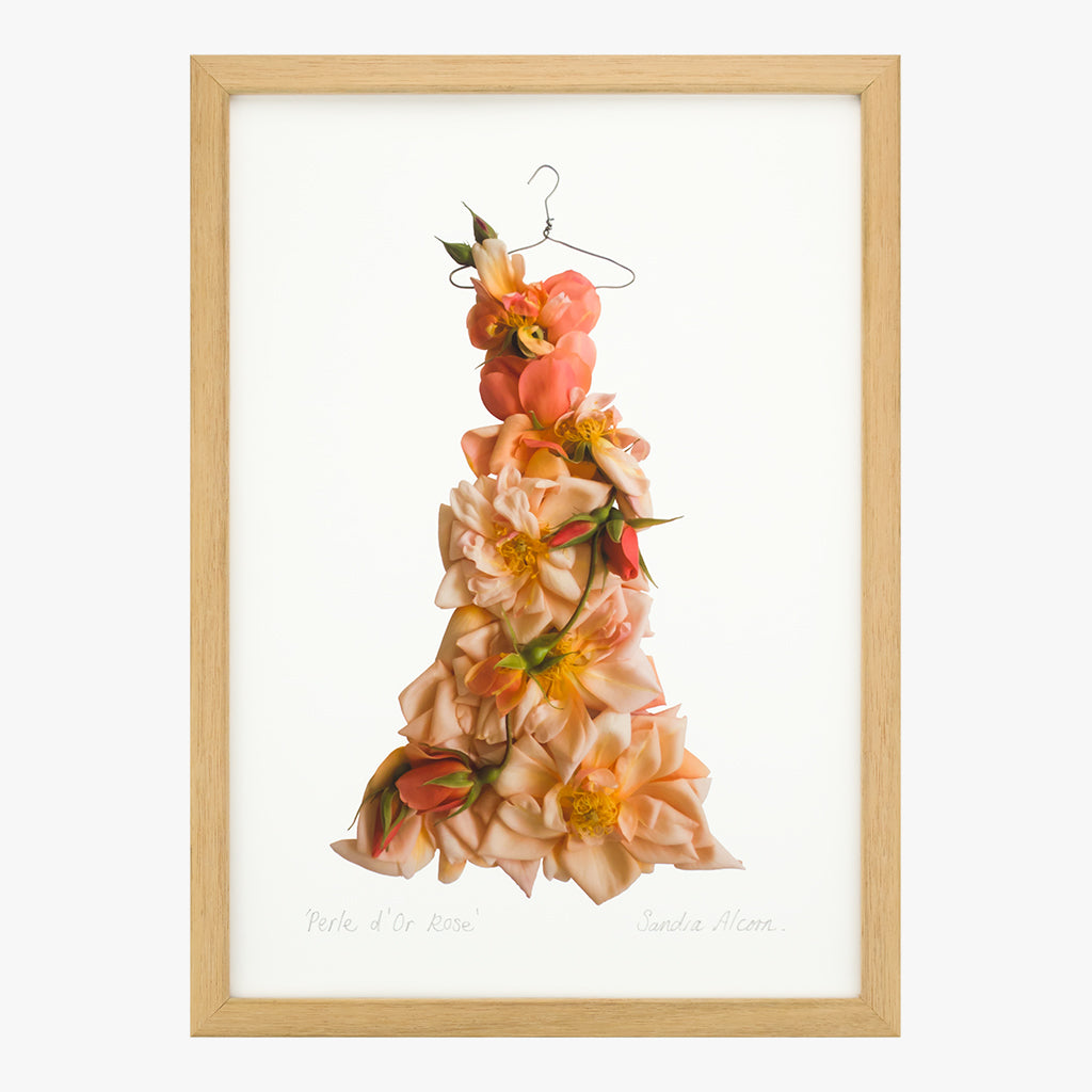 perle d'or rose dress art print by petal & pins